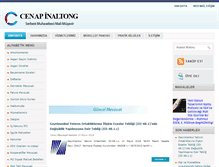 Tablet Screenshot of cenapinaltong.com